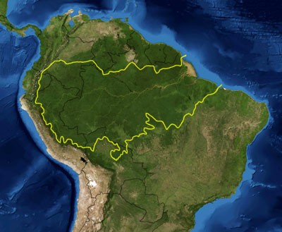 Rừng Amazon bao gồm diện tích 7 triệu km², trong đó rừng mưa chiếm 5,5 triệu km². Khu vực này nằm trong lãnh thổ của 9 quốc gia: chủ yếu là Brasil (với 60 % rừng mưa), Peru (13 %), và phần còn lại thuộc Colombia, Venezuela, Ecuador, Bolivia, Guyana, Surinam cùng Guyana thuộc Pháp.